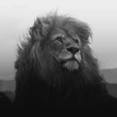 Let's do something different.