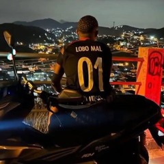 MC ELPITBULL & MC ESTHER  - ELE TRABALHA PRO LOBO MAL 2k26 (( DJ 2L DE CABO FRIO ))