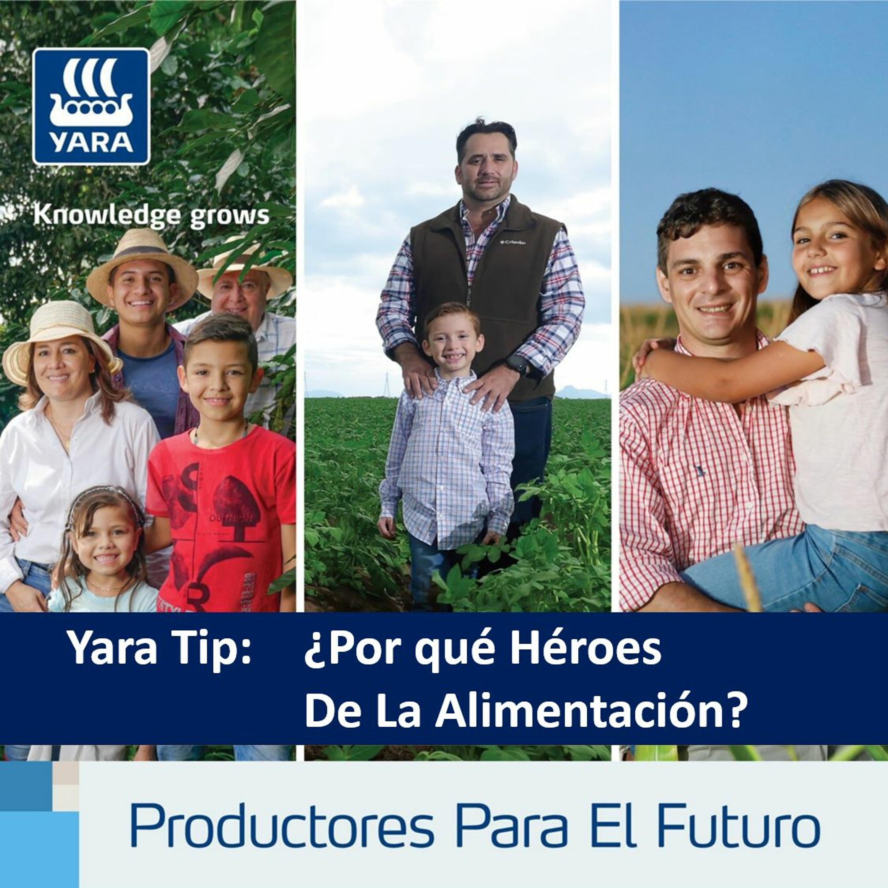 Productores Para El Futuro