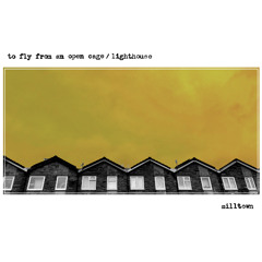 To Fly From An Open Cage