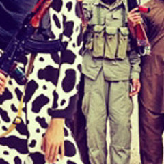 Sleeper.C311 (Preview)