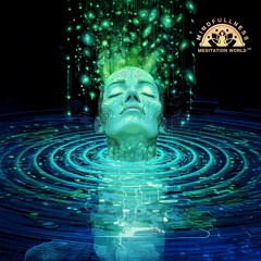 Echoes of Awareness