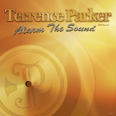 Alarm the Sound (TP 2025 Retro-Groove Rework)