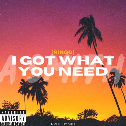 [RINGO] - SXU - I Got What You Need