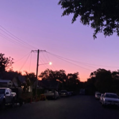 the wailing of cicadas