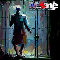 Comme Un Homme En Cage - (solo guitare:Florian Arnaud) - 07/2021