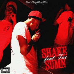 Shake Sumn (feat. TA€) (prod. Eddymadethat)