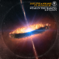 Jayline & Smash - Vanity (Liondub International)