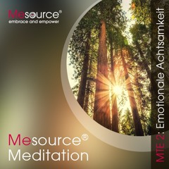 Mesource-Meditation: Emotionale Achtsamkeit