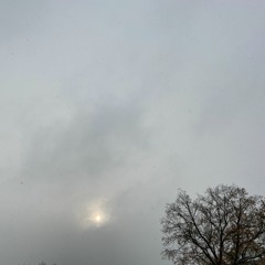 Burkhard Friedrich (D)evil Song