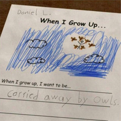 carried away by owls