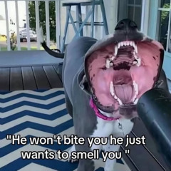 ENLIGHTENMENT (clip)