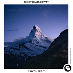 Teddy Beats, MVTT - Can't U See It