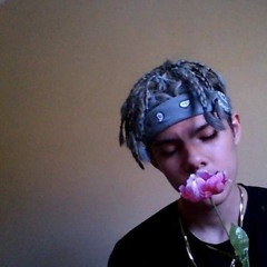 Nascar Aloe - im thoroughly insecure about my singing