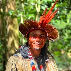 Japanese Limo Boys + Shanenawa Tribe - Envira
