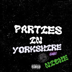 MC Gabz - Parties In Yorkshire (niche sadie ama falling)