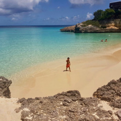 BEACH HOUSE BY ALBIN VOL.9