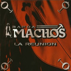 Banda Machos - Historia sin fin (a dúo con Graciela Beltrán)