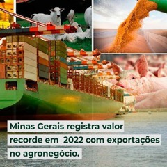 Minas Gerais registra valor recorde em 2022 com exportações no agronegócio