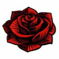 Pamela's Rose
