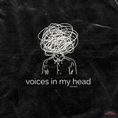 VOICE IN MY HEAD PARADISE FREAKS - RYO CS X ABANGKU