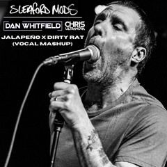 Sleaford Mods - Dirty Rat / Dan Whitfield & Chris Ultranova -Jalapeño (Mashup)
