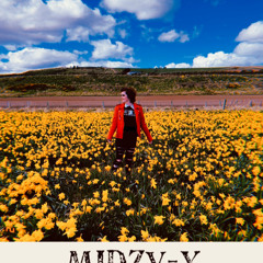 Narcissist - Lauren Spencer Smith Cover