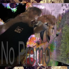 No Promo (prod. Friendzone)