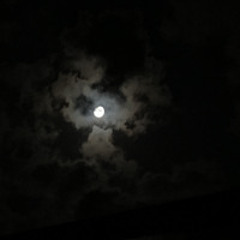 Trust n Believe (music video out! )