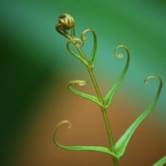 Getting Unstuck Guided Meditation