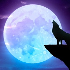 Wolf Howls at The Moon