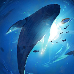 52hz whale