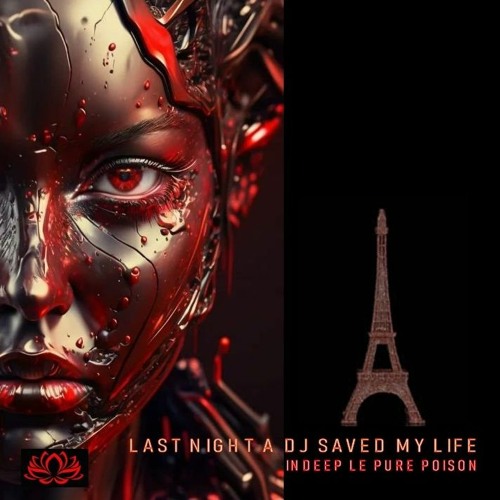 Last Night a dj Saved My Life Le Pure Poison Remix