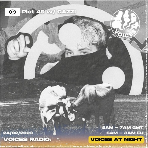 Plot 45 w/ GAZZI on Voices Radio — 24th February 2023