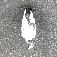 seen this angel?
