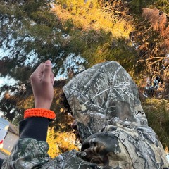 Flipped Da Bih (Freestyle)