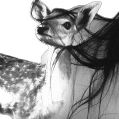 ‎⁨اقبلي يالخشف الريم⁩.m4a