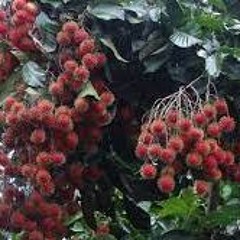 Waiting For Another Chance