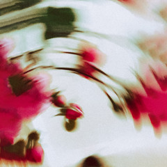 premiere: Bip Soup - Cordyceps [UTR049]