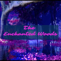 The Enchanted Woods