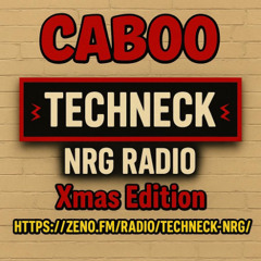 #243 Caboo Christmas Tech House Techneck