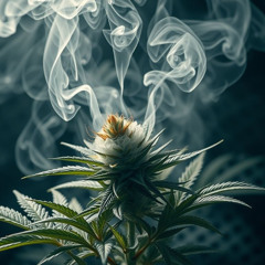 Magic Potion