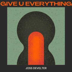 Joss Develter - Give u everything (Original Mix)