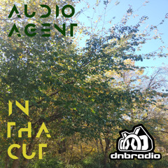 In Tha Cut 155 (DNBRadio 10-27-2024)