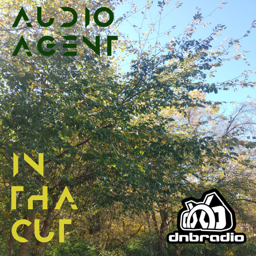In Tha Cut 155 (DNBRadio 10-27-2024)