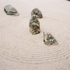 Facets - 06/13/2024