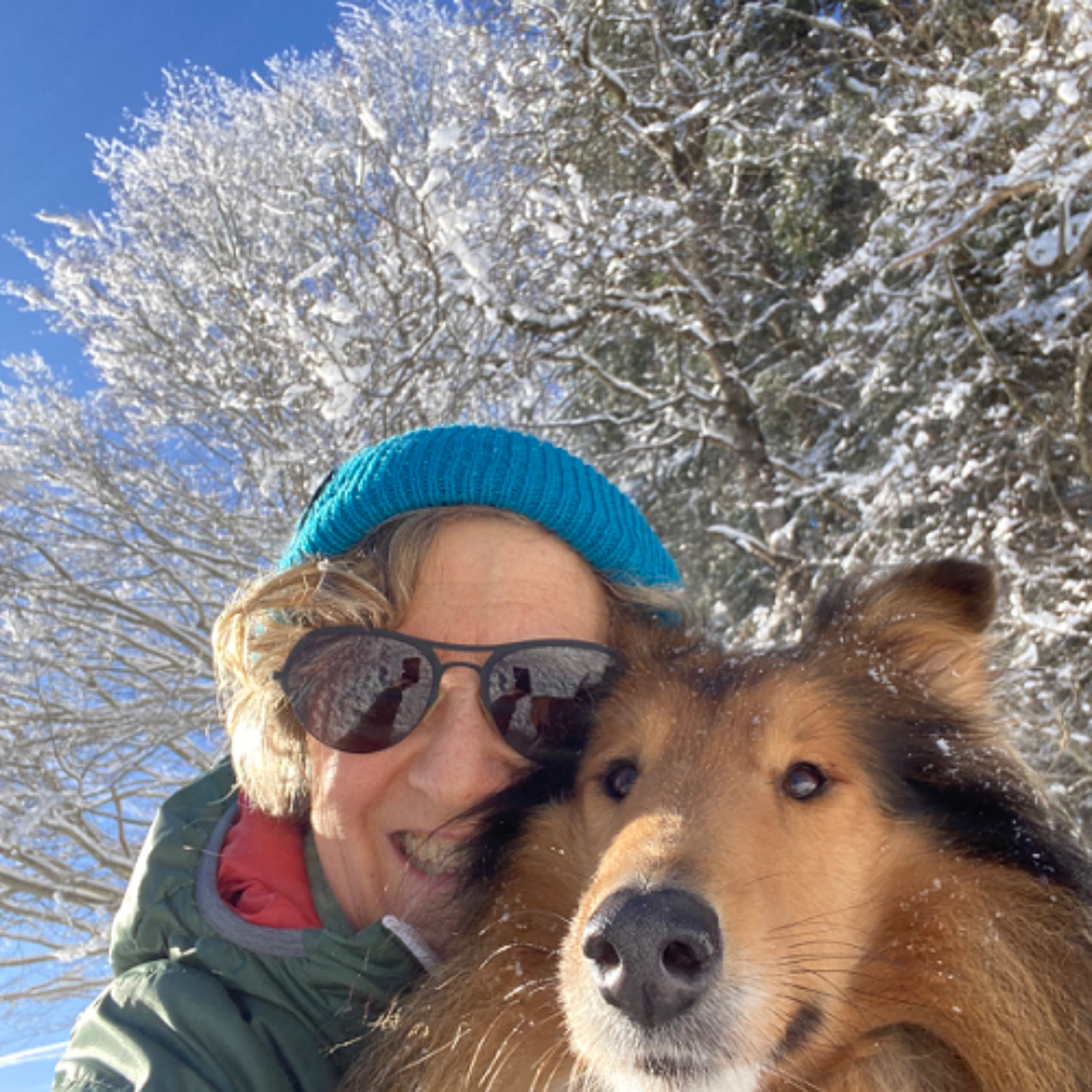 Quattro Stagioni - Auguri da Laura!