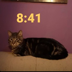8:41 (w. couch)