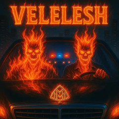 Koorosh & Arta - Velelesh