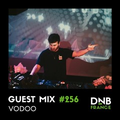 Guest Mix #256 - VODOO